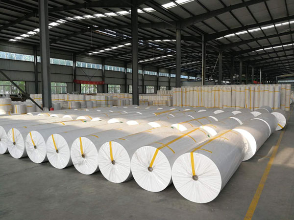 大通狭缝式涤纶纺粘无纺布